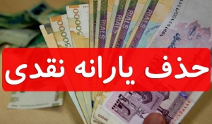 حذف یارانه ها آغاز شد؟
