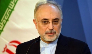 مدیرکل موقت آژانس بین  المللی انرژی اتمی با صالحی دیدار کرد