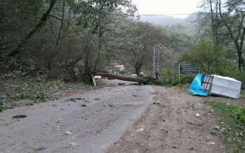 باد شدید به ۳۰۰ واحدتولیدی و مسکونی در شهرستان املش خسارت زد