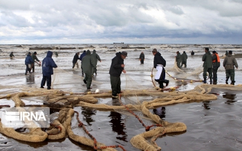 میراث دریا مستندسازی می شود