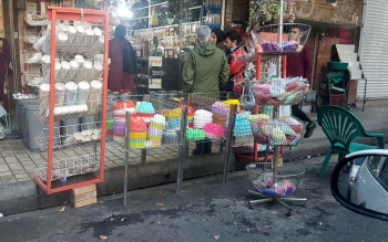 جلوگیری از توقف خودروها در مکان های عمومی تخلف است