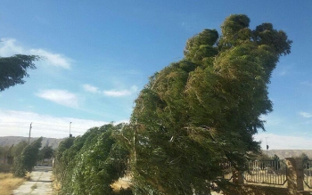 وزش باد گرم در گیلان / افزایش  ۴تا ۸ درجه  ای دما 