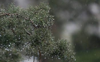 کاهش ۴ تا ۸ درجه ای دمای هوا در برخی مناطق کشور