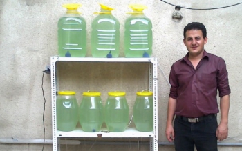 تبدیل گیاه آزولا به ماده اولیه پایشگاه ها