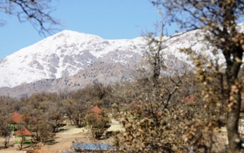 برف کوهستان های املش را سفیدپوش کرد