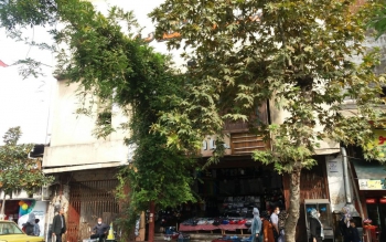 خیلی دور،خیلی نزدیکِ رشت