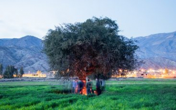 ضرر ۲۵ میلیاردی در روستای بورسی ایران