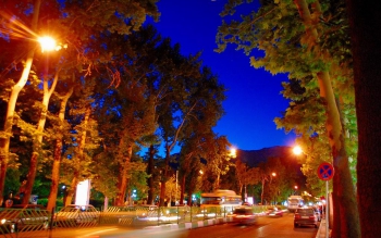 کاشت ۳۵۰۰ درخت «چنار» کهنسال در خیابان ولیعصر