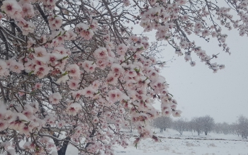 رفت و برگشت برف و باران به گیلان/ کاهش ۳ تا ۶ درجه دما از فردا