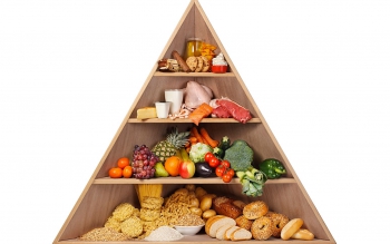 تغذیه سالمی داریم یا نه؟ این نشانه ها را در خود جست وجو کنید