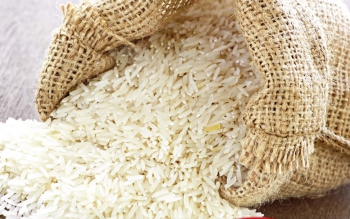 واردات برنج ممنوع شد