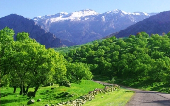 مشکلات زیست محیطی و مناطق چهارگانه گیلان حل می شود