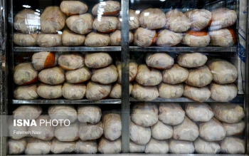 مرغ ارزان می شود؟