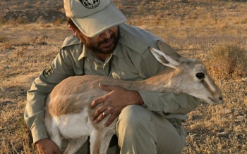 حکم اعدام یک محیط بان صادر شد