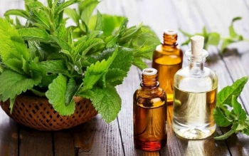 خوردن عرق نعناع برای این بیماری معده ممنوع!