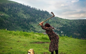 کوله بران هیزم