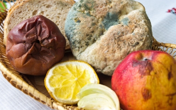 با مواد غذایی کپک زده چه کنیم؟