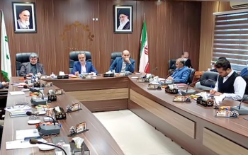 سگ های ولگرد در رشت باعث آزار مردم شده اند/شهرداری رشت امکانات لازم برای بحران برف را ندارد/6ماه مکاتبه برای جابجایی چند تیر برق در رشت