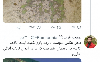 تالاب انزلی از چیزی که فکر می کنید به نابودی نزدیک تر است