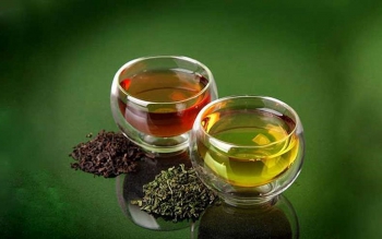 چای سیاه یا سبز؛کدام سالم تر است؟
