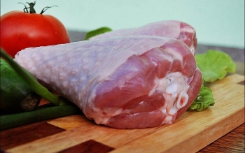 گوشت این پرنده ۴ برابر میگو فسفر دارد
