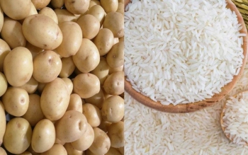 برنج و سیب زمینی بدون واسطه عرضه شدند/ آغاز عرضه برنج با نرخ مصوب در فروشگاه های زنجیره ای