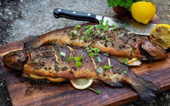 روش های مصرف ماهی در ایران محدود است