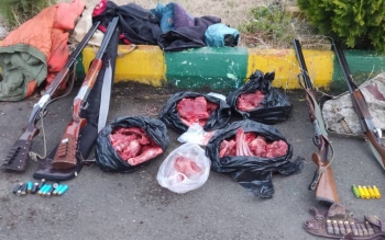 دستگیری شکارچی گراز در لنگرود 