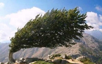 نگذاریم منجیل،سیستانِ گیلان شود