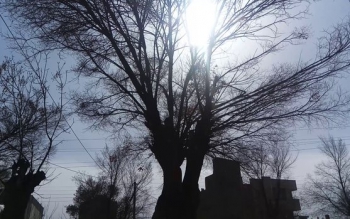اسب وونی تالش رکوردار سرعت وزش باد در شبانه روز گذشته