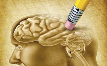 زندگی اجتماعی خوب، علائم اولیه زوال عقل را تغییر می دهد