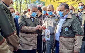 دعوت استاندار گیلان از مردم برای کاشت درخت و مشارکت در توسعه فضای سبز