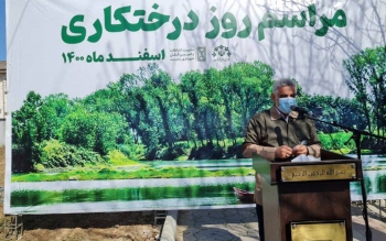 دعوت استاندار گیلان از مردم برای کاشت درخت و مشارکت در توسعه فضای سبز