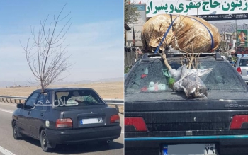مسافرانی که با درخت وارد گیلان می شوند