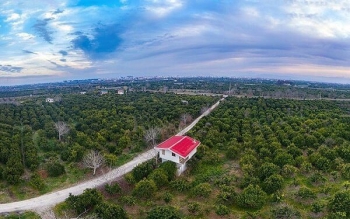 نخبگان حوزه کشاورزی در گیلان از تسهیلات ویژه برخوردار می شوند