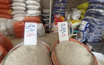 بازارگرمی مجازی طلای سفید در آستانه فصل کشت