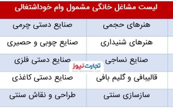 پرداخت وام ۱۰۰ میلیونی مشاغل خانگی/ مشمولان چه کسانی هستند؟/ جدول