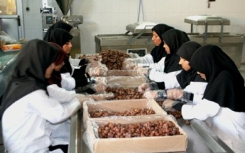 پرداخت وام ۱۰۰ میلیونی مشاغل خانگی/ مشمولان چه کسانی هستند؟/ جدول
