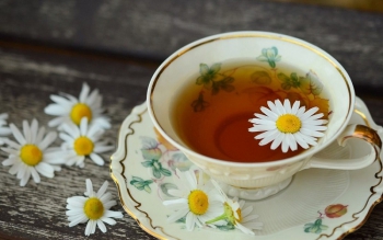 ۱۰ آنتی هیستامین گیاهی طبیعی برای آبریزش بینی