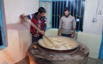 آغاز کشت نیشکر در صومعه سرا