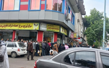  هجوم مردم و صف های طولانی، مرغ را در رشت کمیاب کرد