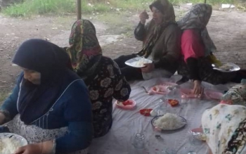 جزئیات طرح پیشنهادی احداث دو «پارکِ خوردنی» در رشت،شهر خلاق خوراک