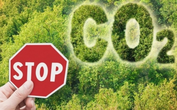 کشف روشی جدید برای تبدیل دی اکسید کربن به سوخت