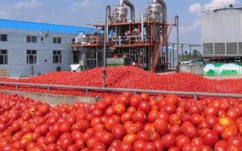 هیچ کمبودی وجود ندارد فقط کارخانه ها،رب تولید شده را به بازار نمی فرستند