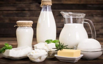 هزینه تولید شیر بیشتر از قیمت فروش در گیلان   
