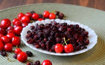 طرز تهیه آلبالو خشکه آبدار 