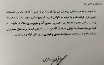 دستور دادستان فومن به ۳ دستگاه برای جلوگیری از خشک شدن درختان ورودی شهر