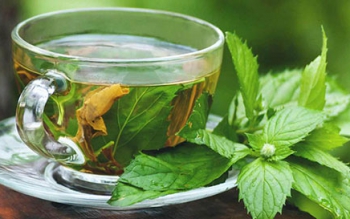 خالواش گیاهی سودمند برای درمان آسم 