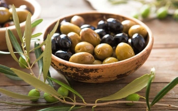 رفتار دوگانه دولت در سیاست حمایتی خرید زیتون / کاهش عوارض واردات به رغم رکورد تاریخی تولید!