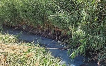 رشت به نقطه بحران رسیده است